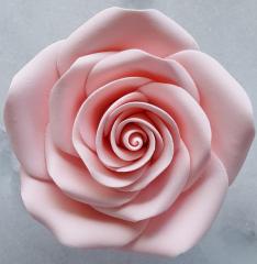 GCP Chantilly R�zsa Pink
