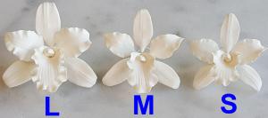 Cattleya Orchidea 2. Feh�r L