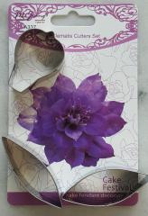 Kisz�r� Clematis